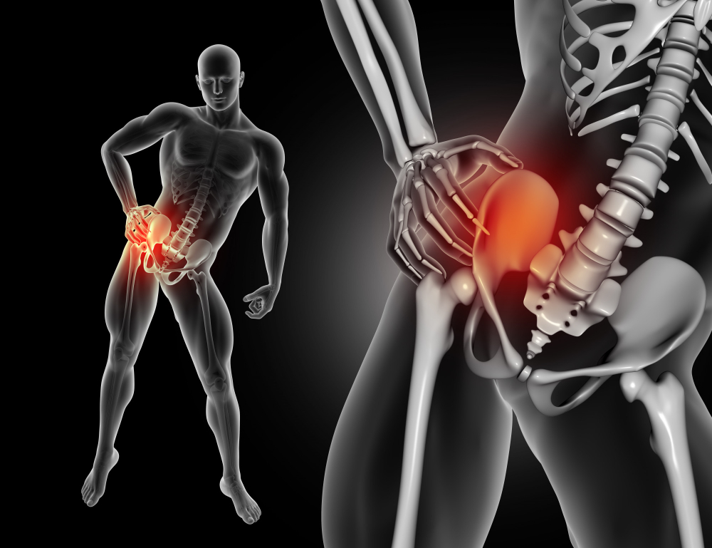 Anatomia Do Quadril Ossos M Sculos E Movimentos Cl Nica Vicci